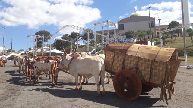 Tradicional desfile dos carros de boi acontece nesta quinta-feira, sétimo dia de Romaria