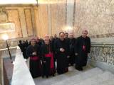 Depoimentos: bispos falam sobre a visita ao Papa Francisco
